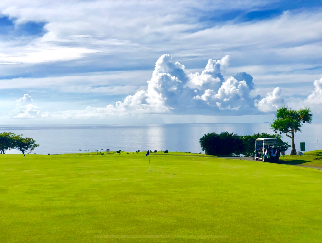 暑中お見舞い申し上げます🏝️